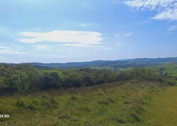 Terreno agricolo Podere Ai della Colonna, Roccalbegna - foto 9