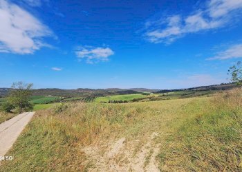 Terreno agricolo Podere Ai della Colonna, Roccalbegna - foto 15