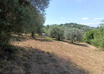 Terreno agricolo Strada Vicinale Saturnia Poggio Capanne, Manciano - foto 7