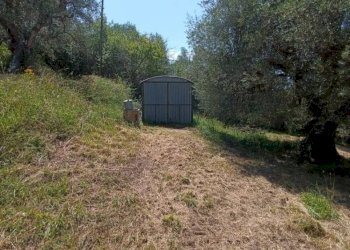 Terreno agricolo Strada Vicinale Saturnia Poggio Capanne, Manciano - foto 11