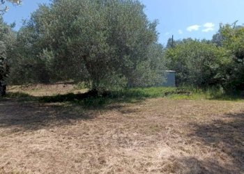 Terreno agricolo Strada Vicinale Saturnia Poggio Capanne, Manciano - foto 16