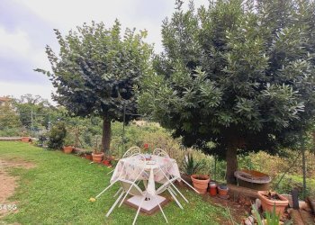 Appartamento Vicolo Giuseppe Mazzini, 3, Semproniano - foto 4