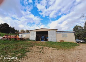 Terreno agricolo Strada Regionale Maremmana, Manciano - foto 13