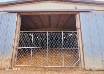 Terreno agricolo Strada Regionale Maremmana, Manciano - foto 17