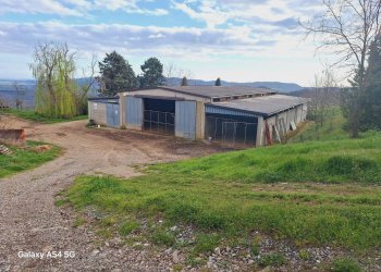 Terreno agricolo Strada Regionale Maremmana, Manciano - foto 23