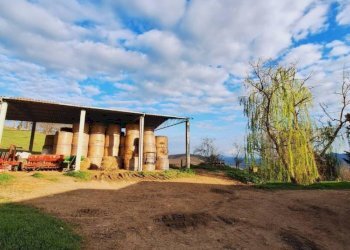 Terreno agricolo Strada Regionale Maremmana, Manciano - foto 24