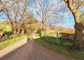 Terreno agricolo Strada Regionale Maremmana, Manciano - foto 28