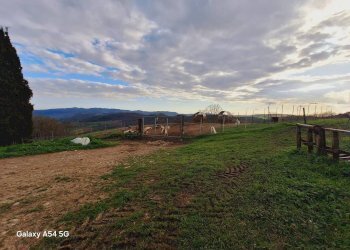 Casale Strada Regionale Maremmana, Manciano - foto 11