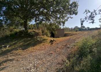 Casale Sp112, Manciano - foto 16