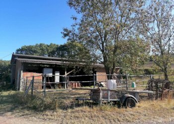 Casale Sp112, Manciano - foto 18