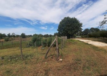 Casale Sr74, Manciano - foto 21