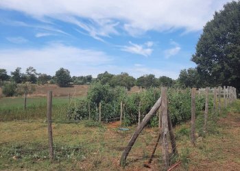 Casale Sr74, Manciano - foto 26