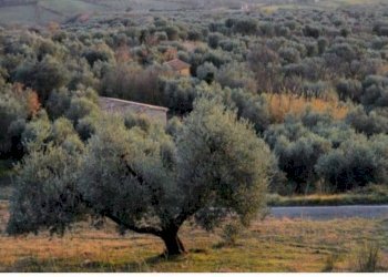 Casa indipendente Strada Provinciale di Fibbianello, Semproniano - foto 3