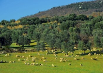 Casa indipendente Strada Provinciale di Fibbianello, Semproniano - foto 5