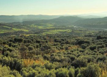 Casa indipendente Strada Provinciale di Fibbianello, Semproniano - foto 7