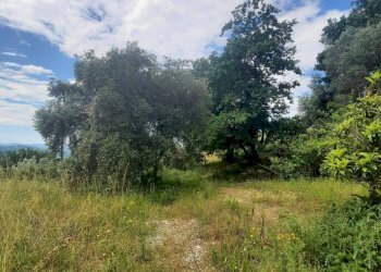 Casa indipendente Strada Provinciale di Fibbianello, Semproniano - foto 50