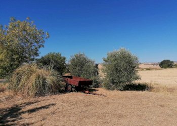 Terreno agricolo Strada Provinciale Scansanese, Manciano - foto 1