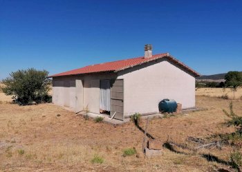 Terreno agricolo Strada Provinciale Scansanese, Manciano - foto 3