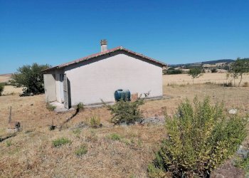 Terreno agricolo Strada Provinciale Scansanese, Manciano - foto 5