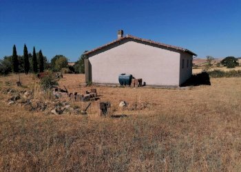 Terreno agricolo Strada Provinciale Scansanese, Manciano - foto 7