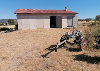 Terreno agricolo Strada Provinciale Scansanese, Manciano - foto 9