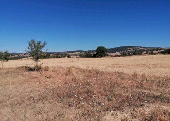 Terreno agricolo Strada Provinciale Scansanese, Manciano - foto 10