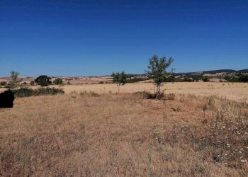 Terreno agricolo Strada Provinciale Scansanese, Manciano - foto 11