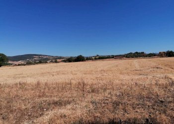 Terreno agricolo Strada Provinciale Scansanese, Manciano - foto 13