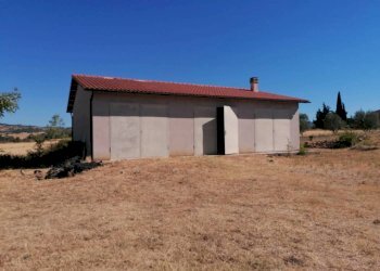 Terreno agricolo Strada Provinciale Scansanese, Manciano - foto 15