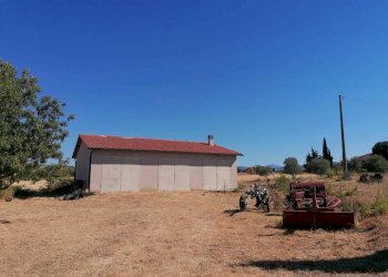 Terreno agricolo Strada Provinciale Scansanese, Manciano - foto 17