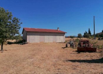 Terreno agricolo Strada Provinciale Scansanese, Manciano - foto 19