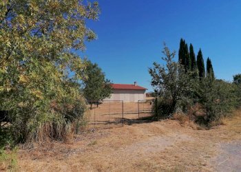 Terreno agricolo Strada Provinciale Scansanese, Manciano - foto 20