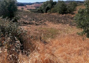 Terreno agricolo Strada Provinciale Scansanese, Manciano - foto 21