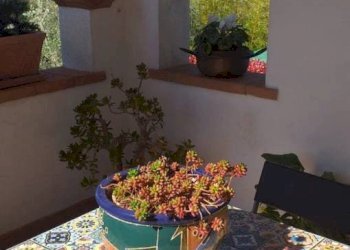 Villa Strada Comunale Vecchia Montemerano Manciano, Manciano - foto 9