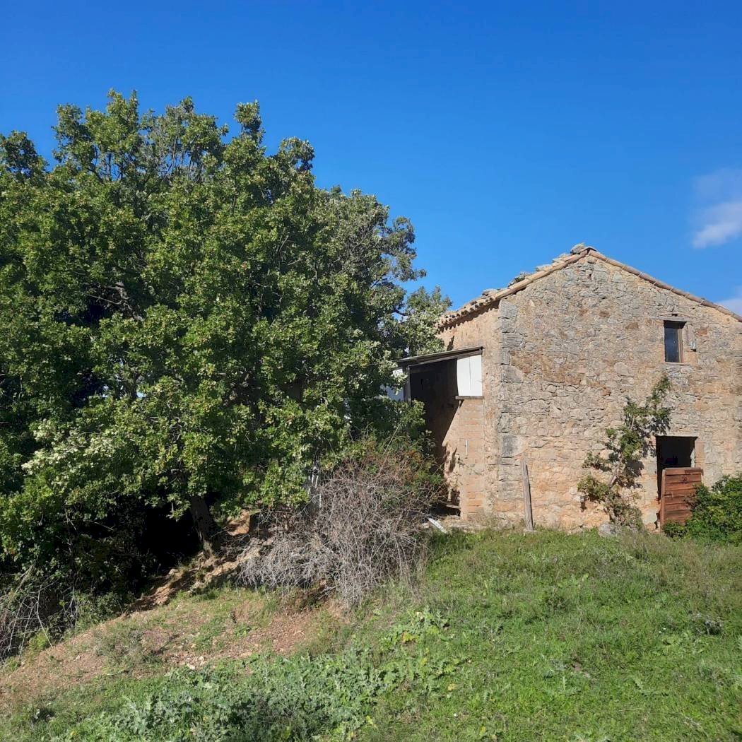Terreno agricolo Strada Provinciale per Rocchette, Semproniano - foto 1