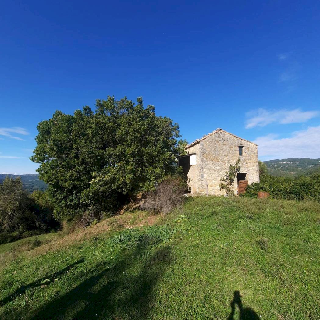 Terreno agricolo Strada Provinciale per Rocchette, Semproniano - foto 2