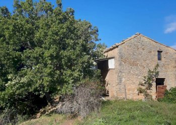 Terreno agricolo Strada Provinciale per Rocchette, Semproniano - foto 1