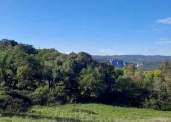 Terreno agricolo Strada Provinciale per Rocchette, Semproniano - foto 4
