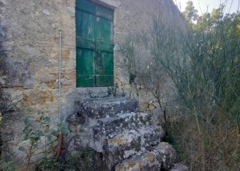 Terreno agricolo Strada Provinciale per Rocchette, Semproniano - foto 6