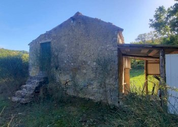 Terreno agricolo Strada Provinciale per Rocchette, Semproniano - foto 8