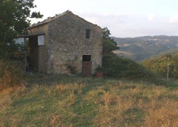 Terreno agricolo Strada Provinciale per Rocchette, Semproniano - foto 9