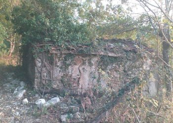Terreno agricolo Strada Provinciale per Rocchette, Semproniano - foto 11