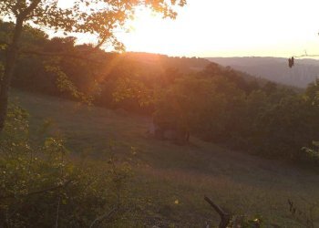 Terreno agricolo Strada Provinciale per Rocchette, Semproniano - foto 13