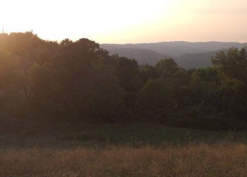 Terreno agricolo Strada Provinciale per Rocchette, Semproniano - foto 14