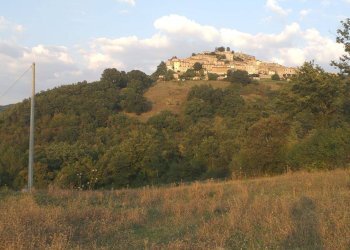 Terreno agricolo Strada Provinciale per Rocchette, Semproniano - foto 15