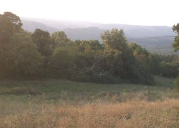Terreno agricolo Strada Provinciale per Rocchette, Semproniano - foto 16