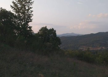 Terreno agricolo Strada Provinciale per Rocchette, Semproniano - foto 18