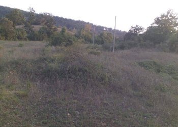 Terreno agricolo Strada Provinciale per Rocchette, Semproniano - foto 19