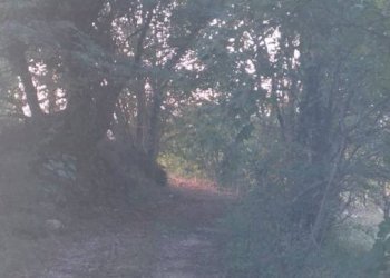 Terreno agricolo Strada Provinciale per Rocchette, Semproniano - foto 24