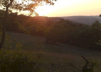 Terreno agricolo Strada Provinciale per Rocchette, Semproniano - foto 25